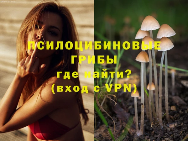 a pvp Лабытнанги