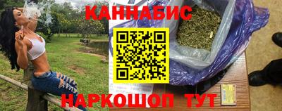 Альфа ПВП Аргун